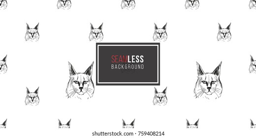 Detailed realistic hand drawn maine cat portrait. Vector illustration. Black pattern on white background