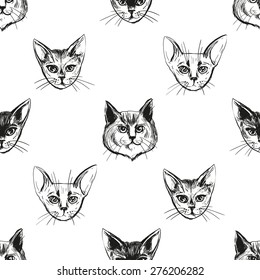Detailed realistic hand drawn norwegian and abyssinian cat portrait. Vector illustration. Set of isolated drawing kitten heads and faces some breeds. Black pattern on white background