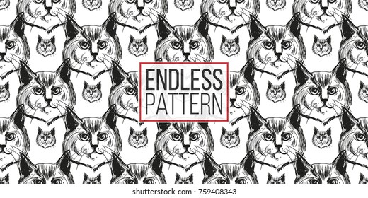 Detailed realistic hand drawn norwegian cat portrait. Vector illustration. Black pattern on white background
