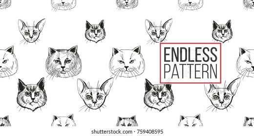 Detailed realistic hand drawn norwegian, british, abyssinian cat portrait. Vector illustration. Black pattern on white background