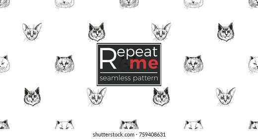 Detailed realistic hand drawn norwegian, british, abyssinian cat portrait. Vector illustration. Black pattern on white background