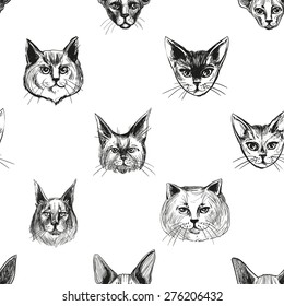 Detailed realistic hand drawn sphynx, british, maine coon, abyssinian cat portrait. Vector illustration. Set of isolated drawing kitten heads and faces some breeds. Black pattern on white background