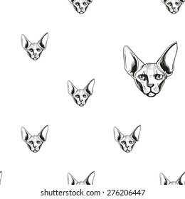 Detailed realistic hand drawn sphynx cat portrait. Vector illustration. Set of isolated drawing kitten heads and faces some breeds. Black pattern on white background