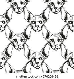Detailed realistic hand drawn sphynx cat portrait. Vector illustration. Set of isolated drawing kitten heads and faces some breeds. Black pattern on white background