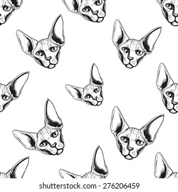 Detailed realistic hand drawn sphynx cat portrait. Vector illustration. Set of isolated drawing kitten heads and faces some breeds. Black pattern on white background