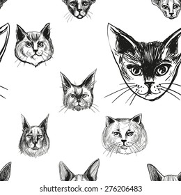 Detailed realistic hand drawn sphynx, british, maine coon, abyssinian cat portrait. Vector illustration. Set of isolated drawing kitten heads and faces some breeds. Black pattern on white background