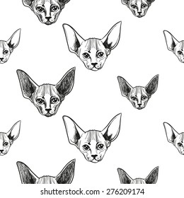 Detailed realistic hand drawn sphynx cat portrait. Vector illustration. Set of isolated drawing kitten heads and faces some breeds. Black pattern on white background