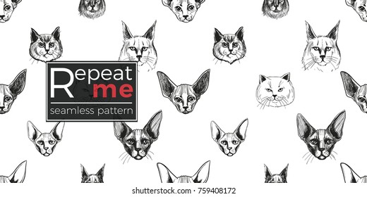 Detailed realistic hand drawn sphynx, norwegian, maine, british cat portrait. Vector illustration. Black pattern on white background