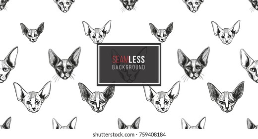 Detailed realistic hand drawn sphynx cat portrait. Vector illustration. Black pattern on white background