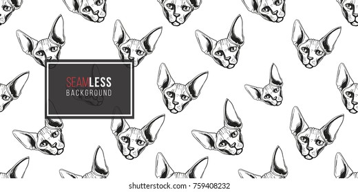 Detailed realistic hand drawn sphynx cat portrait. Vector illustration. Black pattern on white background