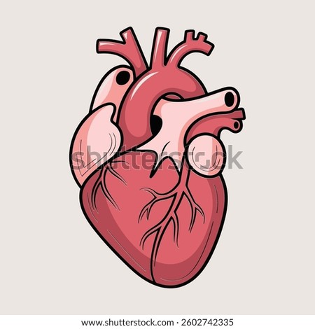A detailed and realistic vector illustration of a human anatomical heart, showcasing the arteries, veins, and chambers in a stylized medical design. 