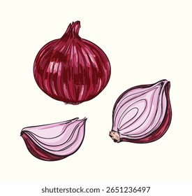 Conjunto detalhado de ilustração de cebola vermelha mostrando cebolas inteiras, divididas e fatiadas em estilo desenhado à mão. Ideal para embalagens de alimentos, livros de receitas, decoração de cozinha e desenhos botânicos.