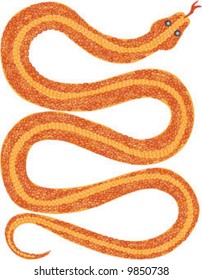 Detailed red and orange snake with forked tongue