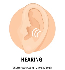 A detailed representation of the human ear emphasizes the importance of hearing in experiencing the world around us.