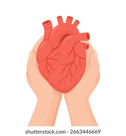 Una representación detallada de un corazón humano en las manos, que simboliza el cuidado, la vida y la vitalidad en un contexto compasivo