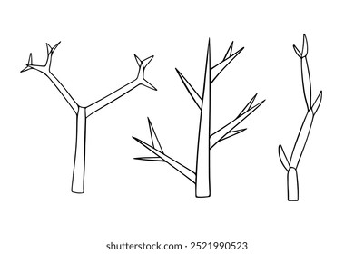 Detailed representation of shoot branching types, showcasing diverse forms and structural arrangements used in botanical studies