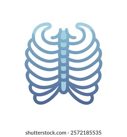 Detailed Rib Cage Anatomy Vector Illustration Design