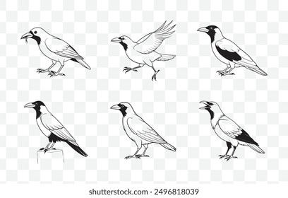 Detailed Rook Line Art Vector Set for Illustrations and Designs