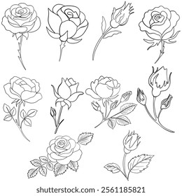 Detailed Rose and Bud Outline Set for Coloring Pages