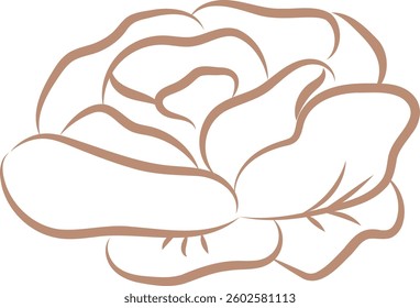 A detailed rose drawn in a minimalist sketch style, highlighting its petals. The flower is depicted with simple lines, emphasizing its natural form. Cartoon vector illustration.