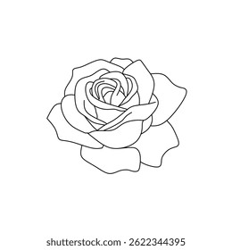 Detailed rose flower head in minimalist line art style, ideal for beauty, nature, and decorative projects.