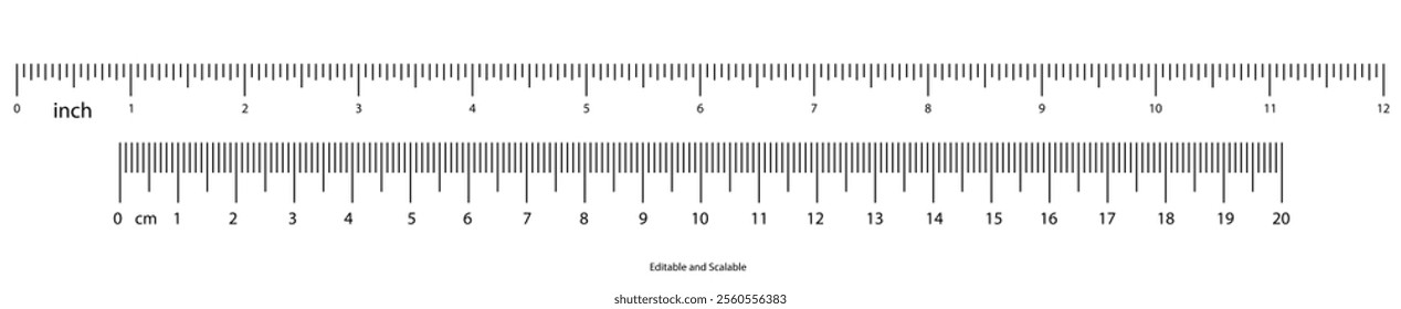 Detailed Ruler with Inch and Centimeter Scales.