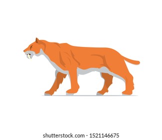 Detailed Saber-Toothed Tiger the Ancient Animal Illustration