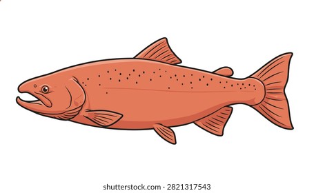 Detailed salmon fish with speckled skin pattern and delicate fins shown on a clean white background.