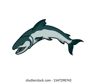 Detailed Salmon with Jumping of the Water Gesture Illustration