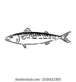 Detailed Sardine Fish vector illustration. Perfect for culinary, marine, and environmental designs.