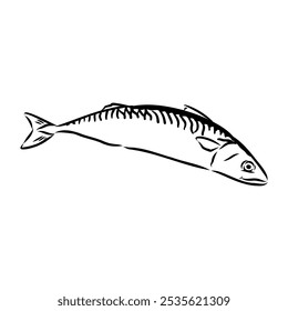 Detailed Sardine Fish vector illustration. Perfect for culinary, marine, and environmental designs.