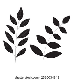 A detailed, scalable vector graphic featuring a leaf in minimalist black and white. Ideal for logos, patterns, and nature-themed designs, compatible with major design software.