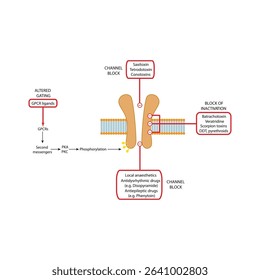 Detailed Schematic of Drug-Binding Domains on Voltage-Gated Sodium Channels Showing Sites of Action for Local Anesthetics, Antiepileptics, Neurotoxins, and Insecticides