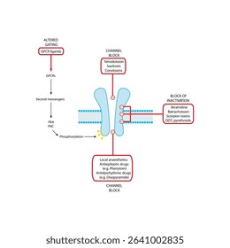 Detailed Schematic of Drug-Binding Domains on Voltage-Gated Sodium Channels Showing Sites of Action for Local Anesthetics, Antiepileptics, Neurotoxins, and Insecticides
