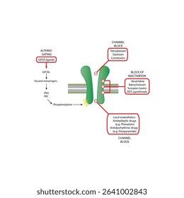 Detailed Schematic of Drug-Binding Domains on Voltage-Gated Sodium Channels Showing Sites of Action for Local Anesthetics, Antiepileptics, Neurotoxins, and Insecticides