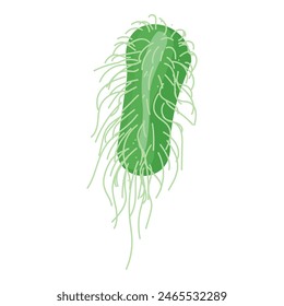 Detailed scientific vector illustration of green singlecelled bacteria. A microscopic organism with flagella. Suitable for microbiology. Bacteriology