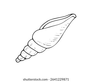 Detailed seashell line art drawing. Great for summer, ocean, or beach-themed designs.