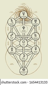 Detailed Sephirothic Tree illustration. Occult illustration of the tree of life Kabbalah scheme.