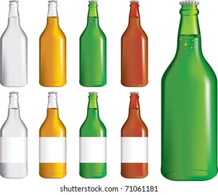 detailed set of different beer, ale and lager bottles