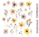 A detailed set of hand-painted watercolor wildflowers, featuring soft pastel tones in yellow, orange, and neutral shades, isolated on white.
