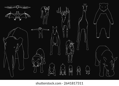 A detailed set of mammals and animals sketched on a black background, featuring a bat with intricate wing details. Each creature displays unique characteristics