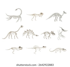 A detailed set of prehistoric dinosaur skeleton illustrations featuring various species. Ideal for educational materials, museum displays, science visuals, and paleontology themed designs.