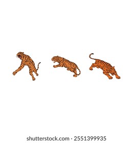 Detailed Set of Tiger Flat Vector Illustrations on Clean White Background for Graphic Projects