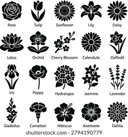Detailed set of twenty labeled flower silhouettes featuring roses tulips sunflowers lilies and other garden plant species.