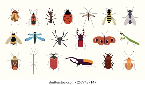 A detailed set of various insects, including ladybugs, dragonflies, bees, ants, butterflies, spiders, and beetles. Each insect is represented in a clean, colorful, and simple cartoon style