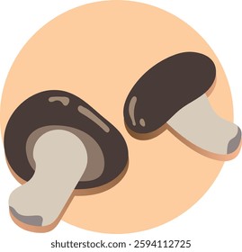 Detailed Shiitake Mushroom Illustration Vector