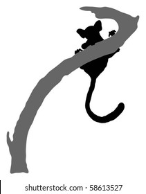 Detailed silhouette of an African bush baby (monkey)