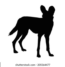 Detailed Silhouette of Alert Wild Dog 