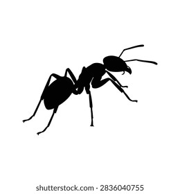 Detailed silhouette of an ant, showcasing its segmented body and antennae, isolated on a plain white background for scientific or educational use.