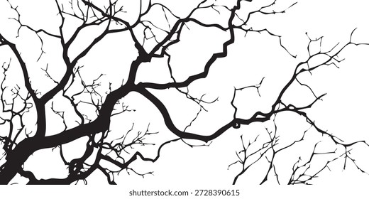 Detailed silhouette of bare tree branches, showcasing their complex network and organic shapes.